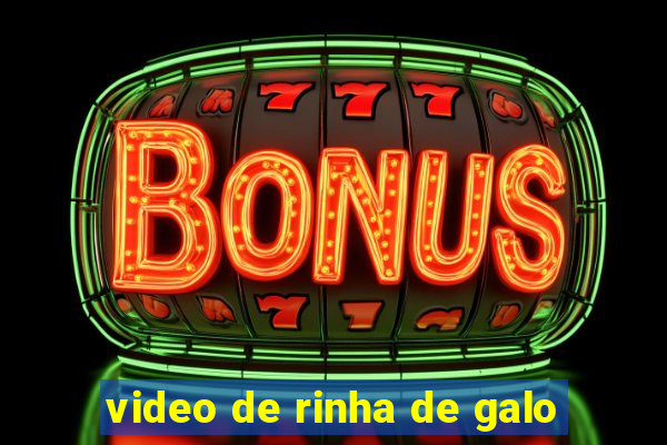 video de rinha de galo